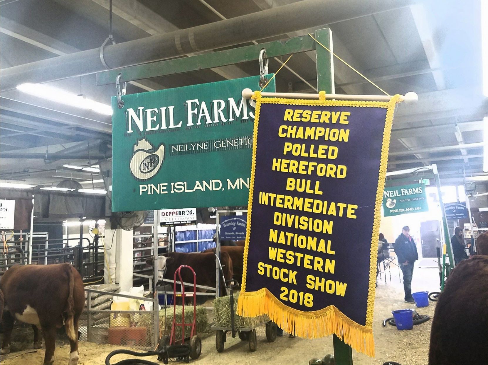 Neil Farms